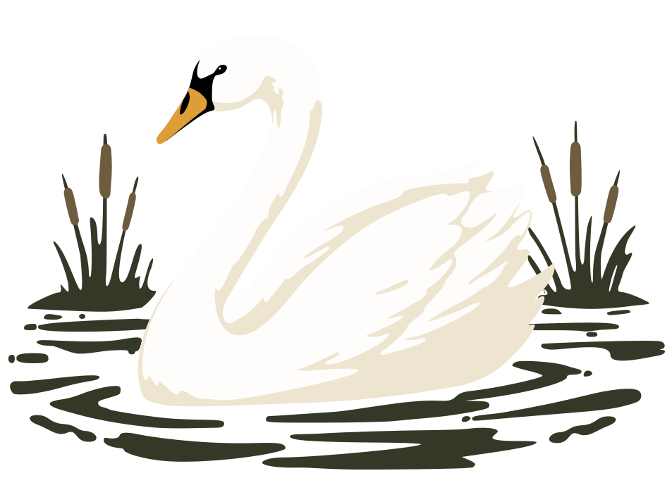 The White Swan logo